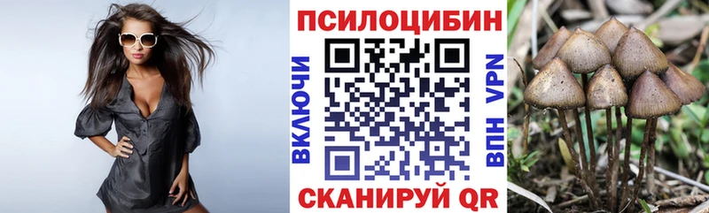 Псилоцибиновые грибы ЛСД  shop телеграм  Зарайск 